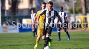 62_STE_2125 62_STE_2125