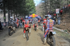 STE_5602 STE_5602