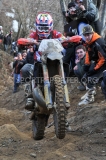 STE_5695 STE_5695