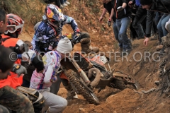 STE_5706 STE_5706