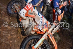 56_STE_2786 56_STE_2786