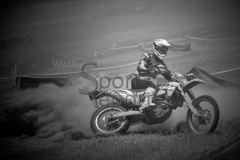 DSC_5446 DSC_5446