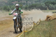 STE_1503 STE_1503