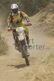 STE_1616 STE_1616