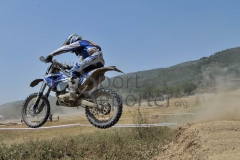 STE_1666 STE_1666