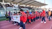 14_STE_1559