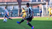 65_STE_2199