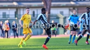 69_STE_2436
