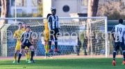 70_STE_2461
